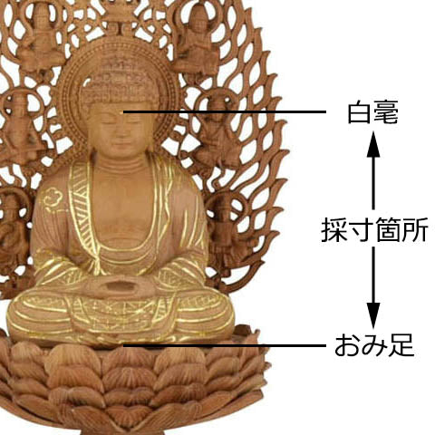 ご本尊とは？お仏壇の仏像・掛軸の宗派別一覧と祀り方を徹底解説 | お ぶつぞうさん確認用