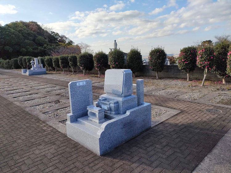 0090009271_02_750x750.jpg?v=