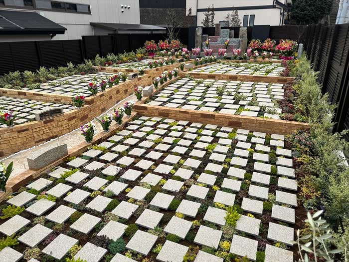 0090010389_feature_01_700x700.