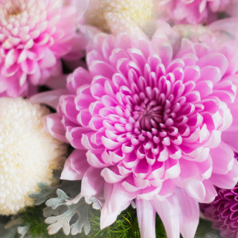 お彼岸の花の選び方は？タブーはある？供え方・ギフトのマナーも解説