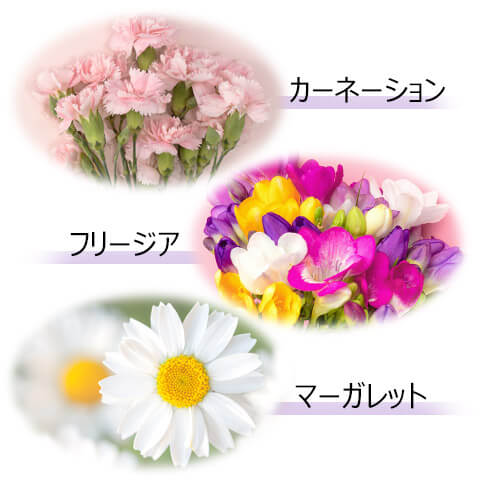お彼岸の花の選び方は？タブーはある？供え方・ギフトのマナーも解説