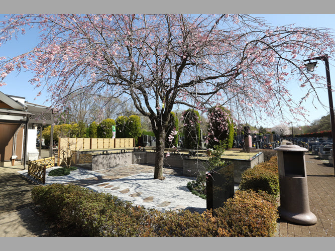 ふじみ野霊園 樹木葬 香桜の郷 | お仏壇のはせがわ【公式】