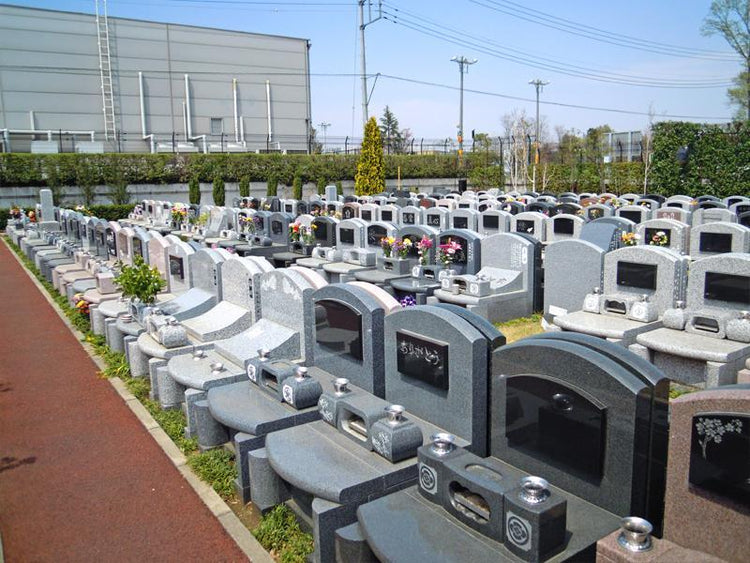 0011010020_03_150912_0_750x750