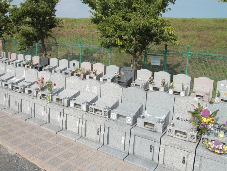 WS 母の墓前にて ofr 4枚 Amazon.co.jp: 遊戯王カード 墓地墓地の恨み/PREMIUM PACK 16